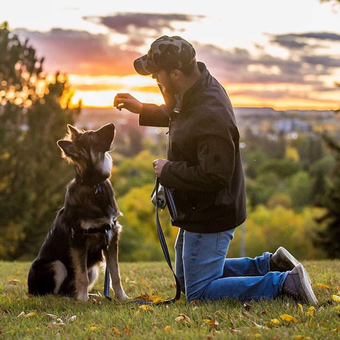 disfigured his face by his mother and now the dog is trained as a therapy dog