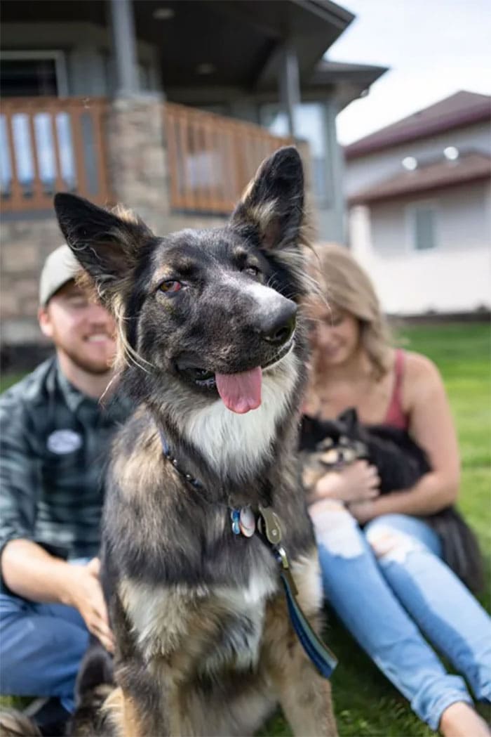 disfigured his face by his mother and now the dog is trained as a therapy dog